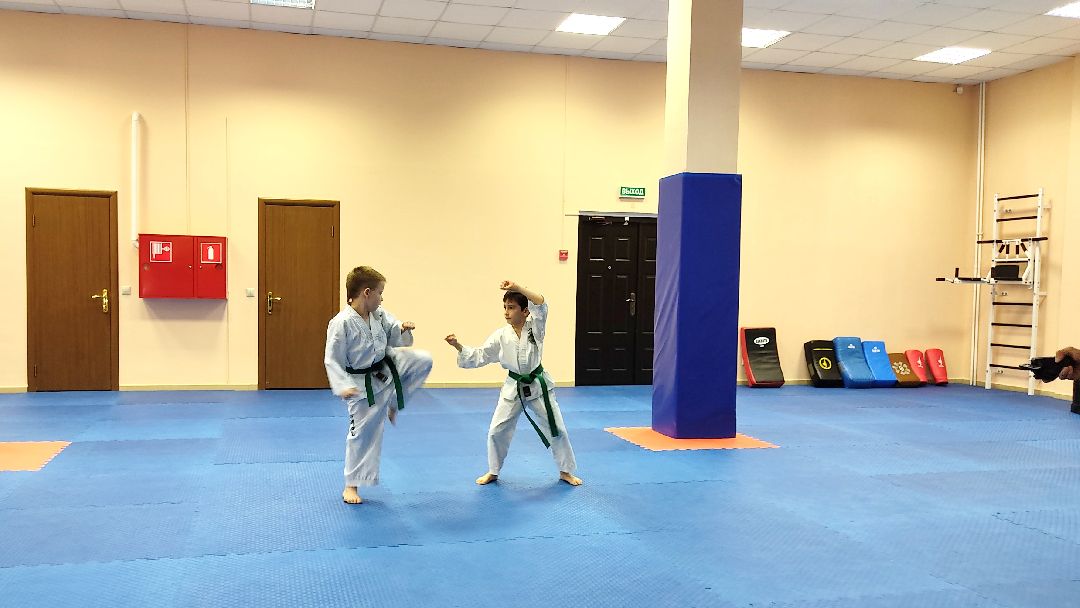 Лобня, спорт, бокс, тхэквондо