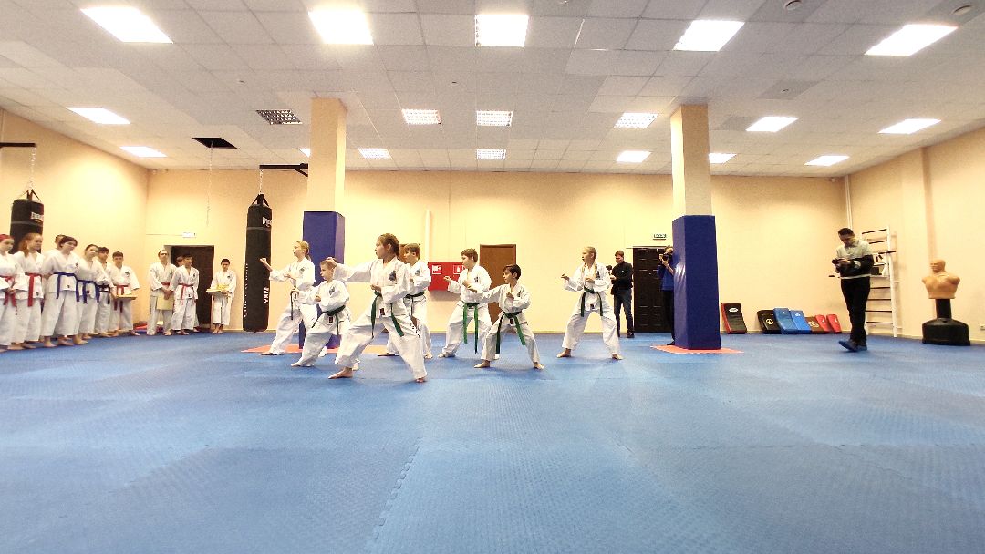 Лобня, спорт, бокс, тхэквондо