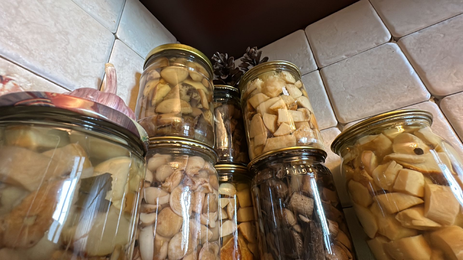 Одинцово, Грибы, Подмосковье,