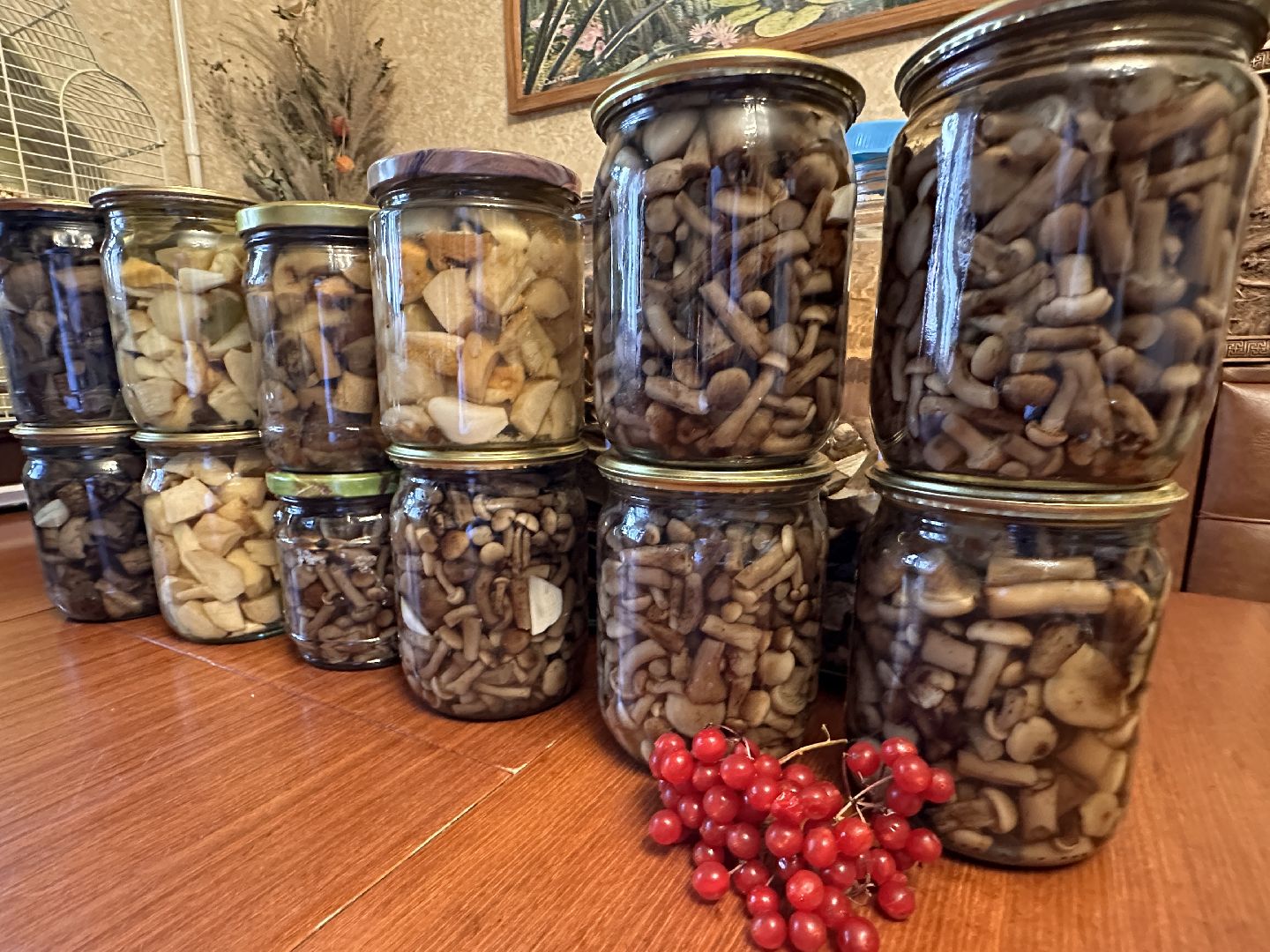 Одинцово, Грибы, Подмосковье,