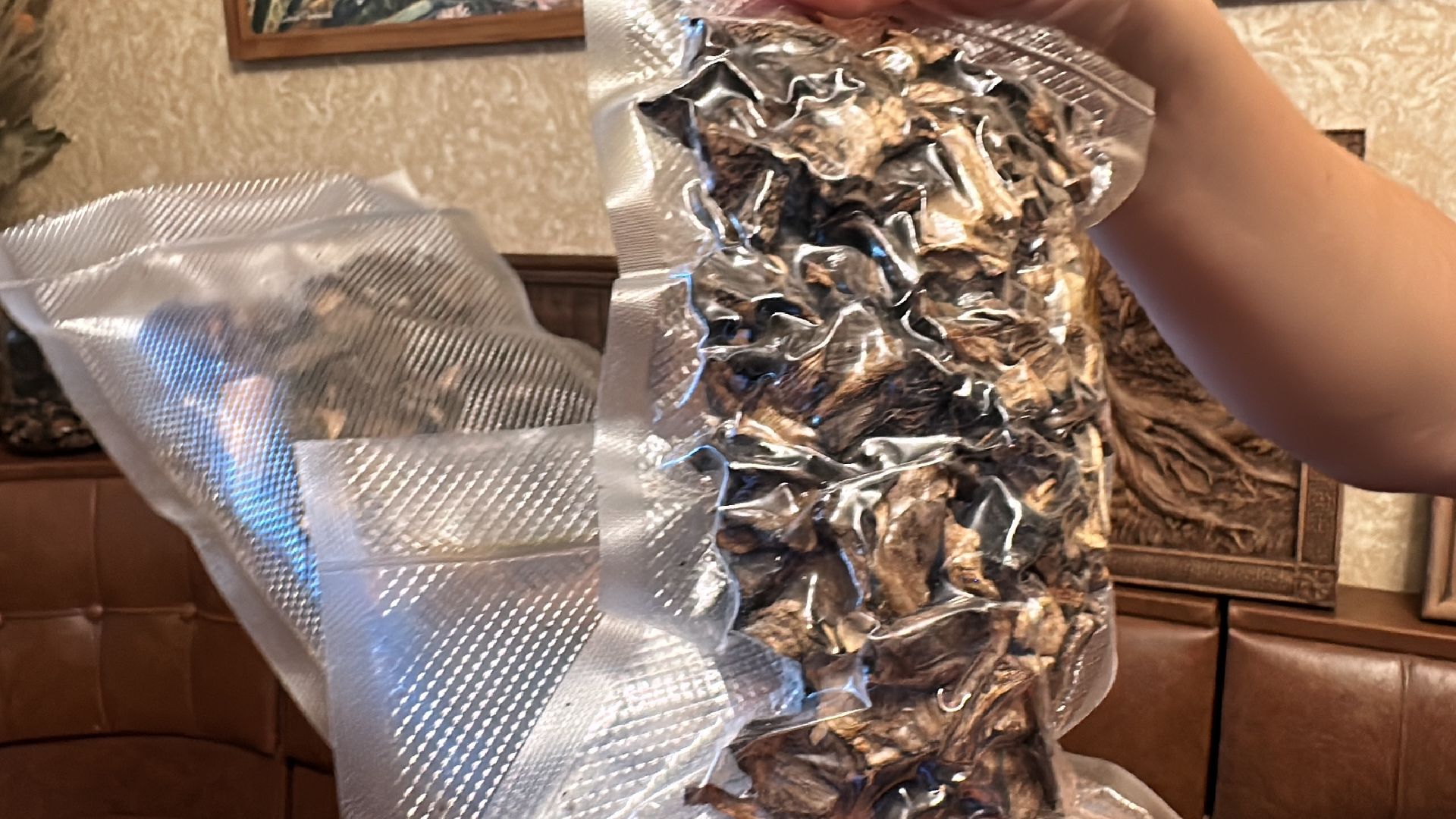 Одинцово, Грибы, Подмосковье,