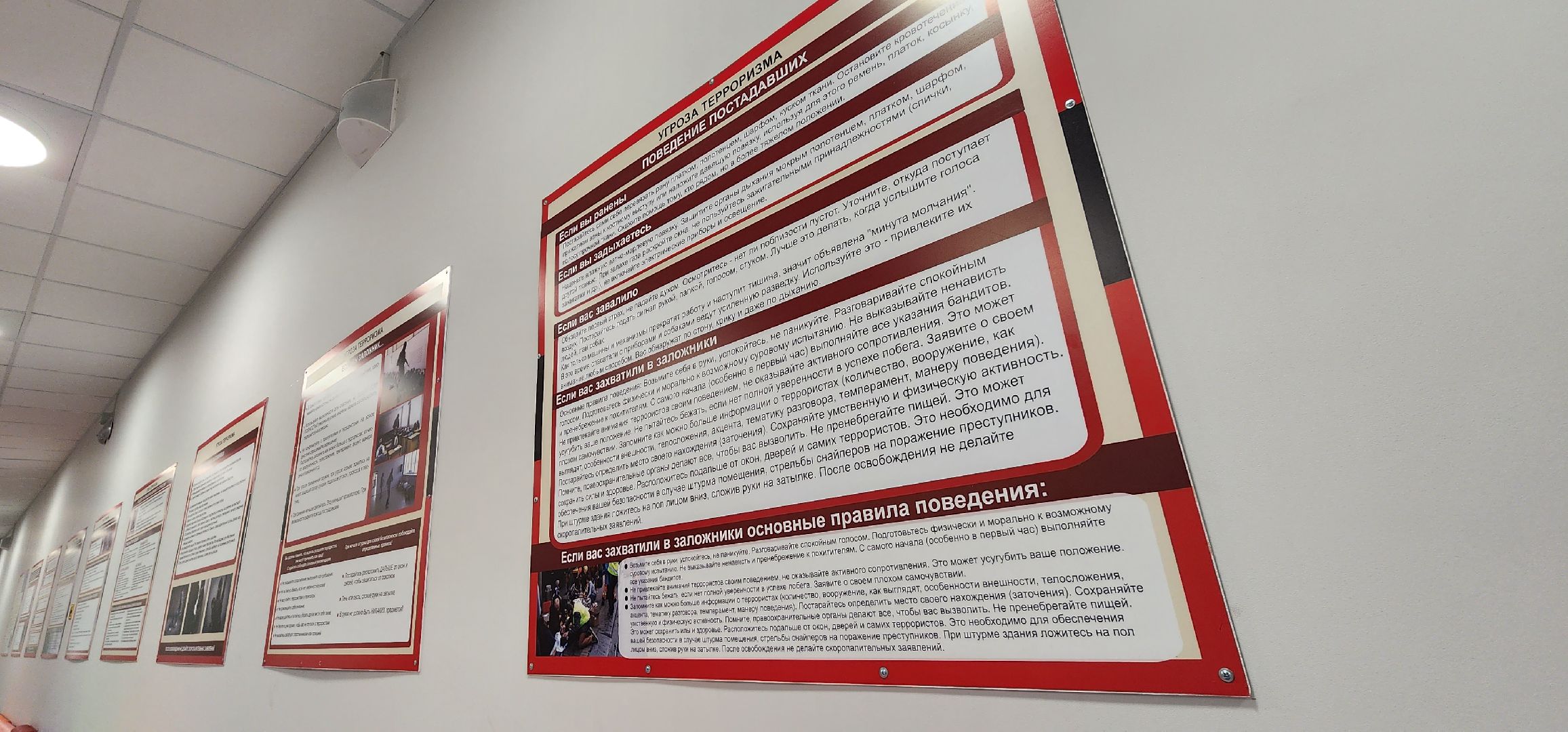 Пушкино, городской округ Пушкинский, образование, новая школа, общество, дети, гимназия,