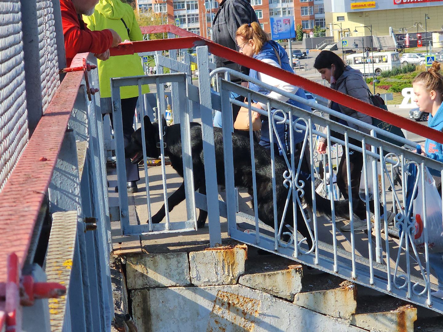 ж/д, рейд безопасности, транспорт, вокзал, серпухов,