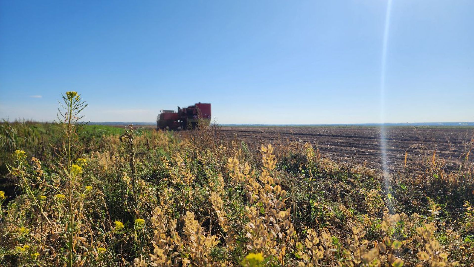 Дмитров, ЗАО Куликово, Дока генные технологии, Минсельхоз,