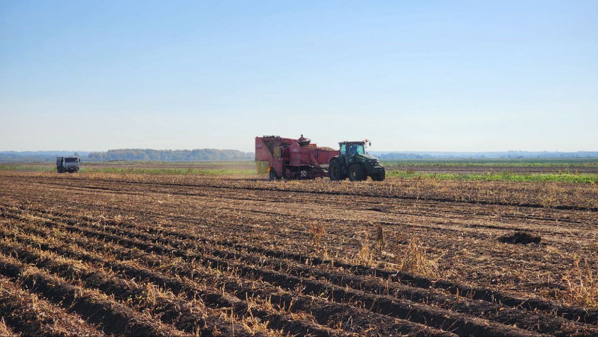 Дмитров, ЗАО Куликово, Дока генные технологии, Минсельхоз,