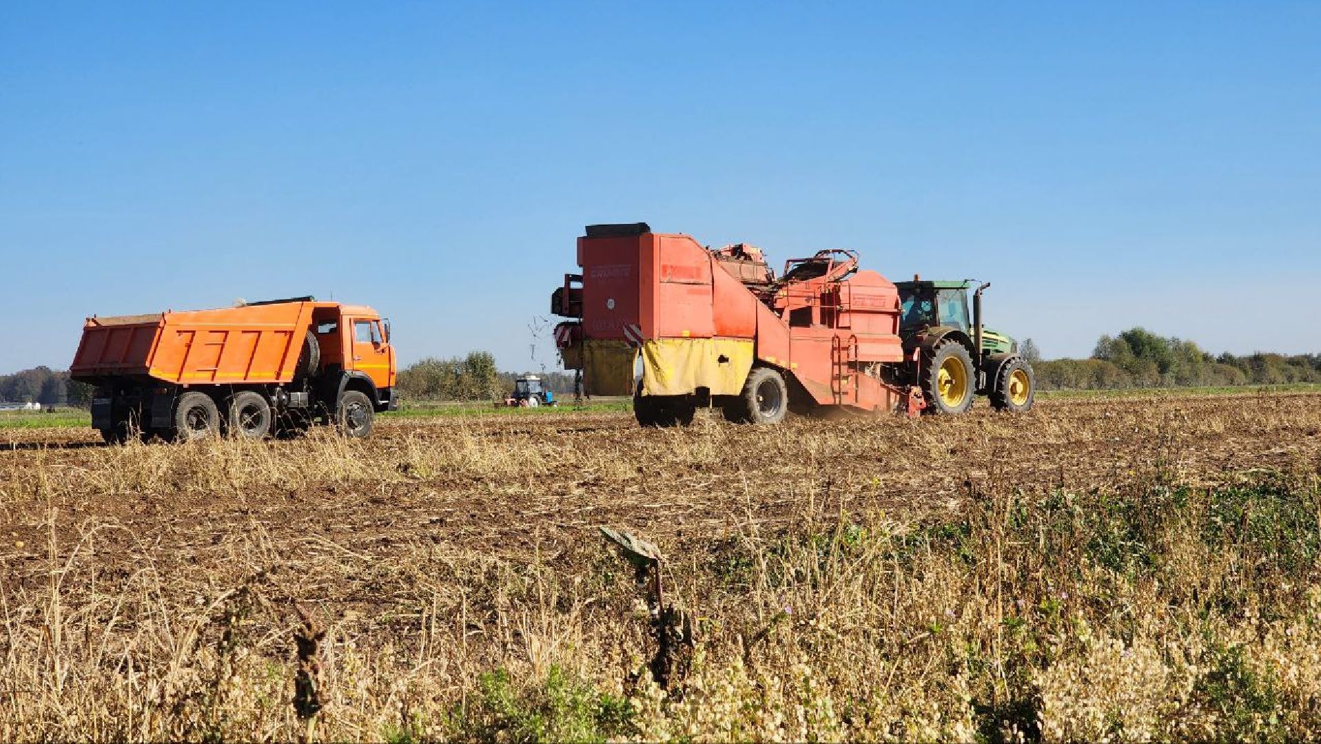 Дмитров, ЗАО Куликово, Дока генные технологии, Минсельхоз,