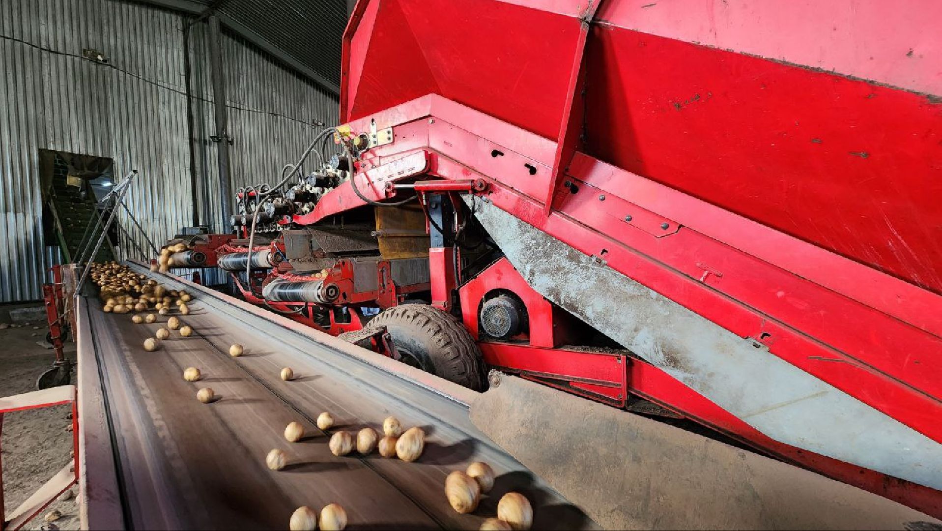 Дмитров, ЗАО Куликово, Дока генные технологии, Минсельхоз,