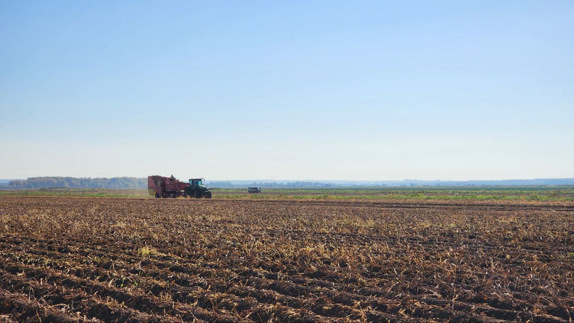 Дмитров, ЗАО Куликово, Дока генные технологии, Минсельхоз,