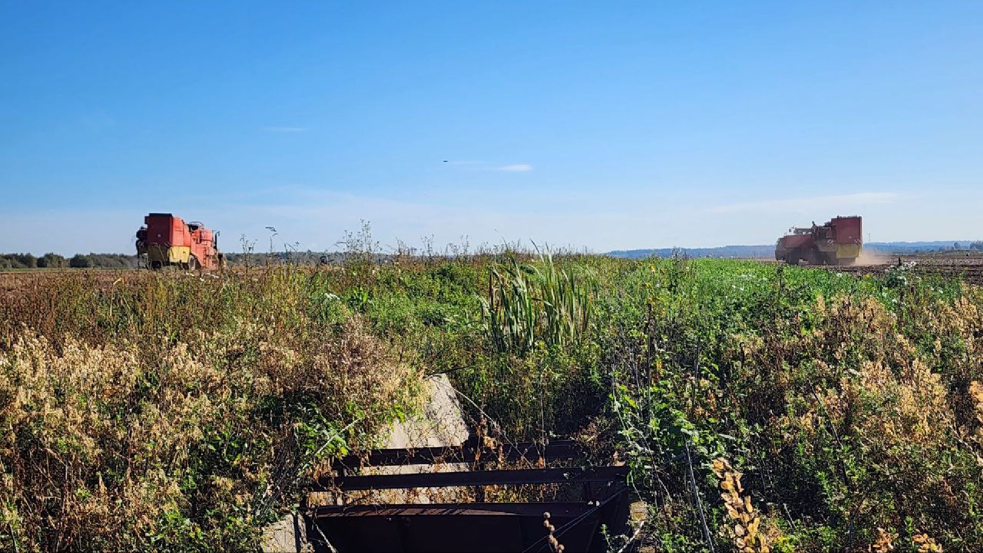 Дмитров, ЗАО Куликово, Дока генные технологии, Минсельхоз,