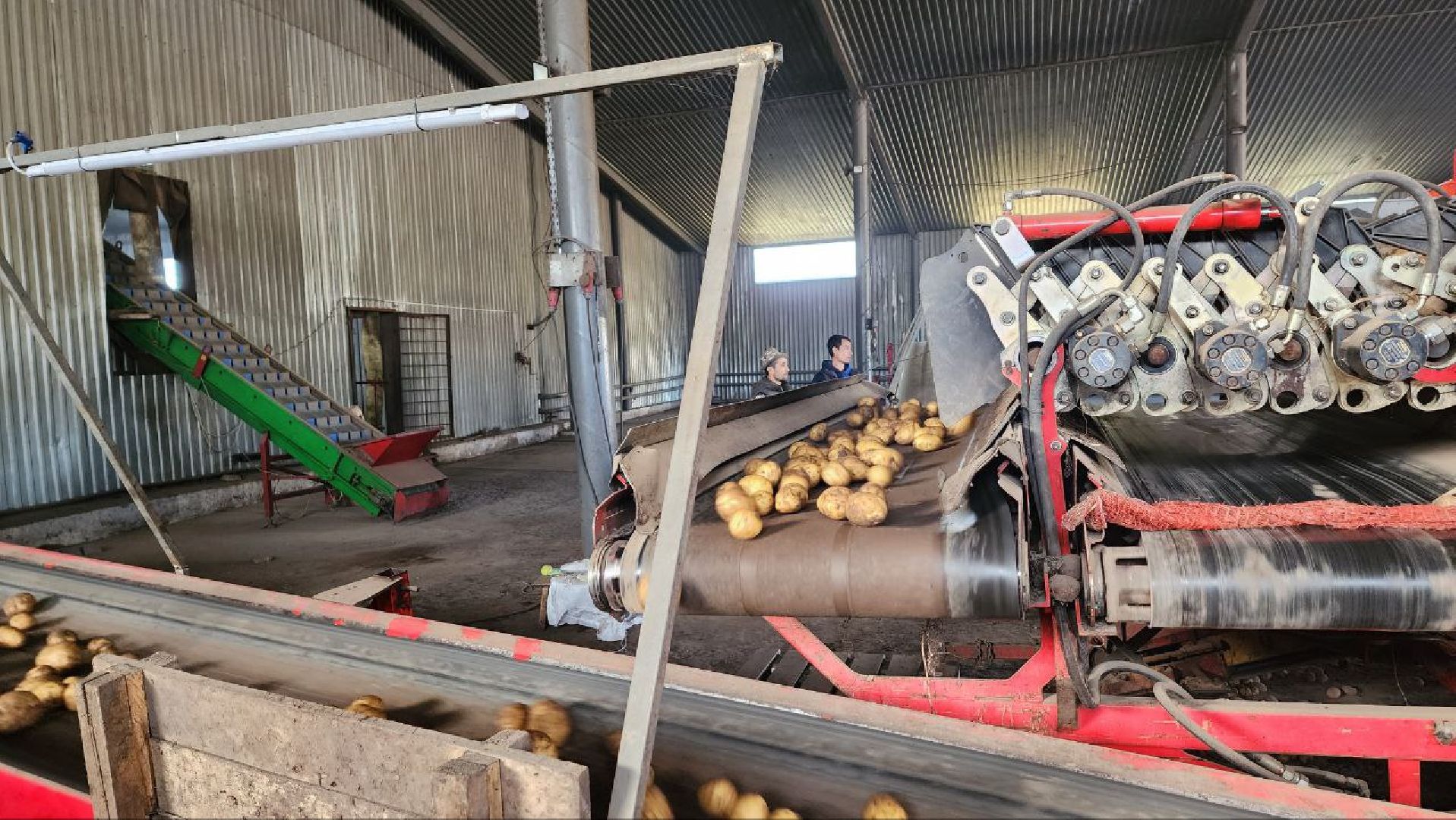 Дмитров, ЗАО Куликово, Дока генные технологии, Минсельхоз,