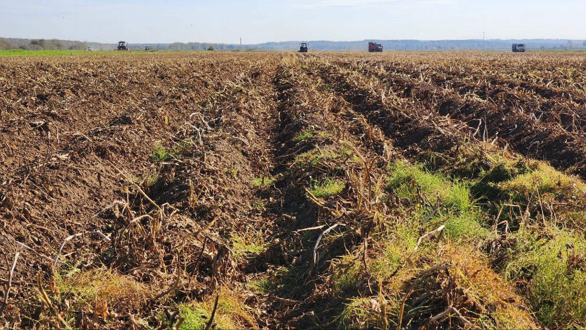 Дмитров, ЗАО Куликово, Дока генные технологии, Минсельхоз,