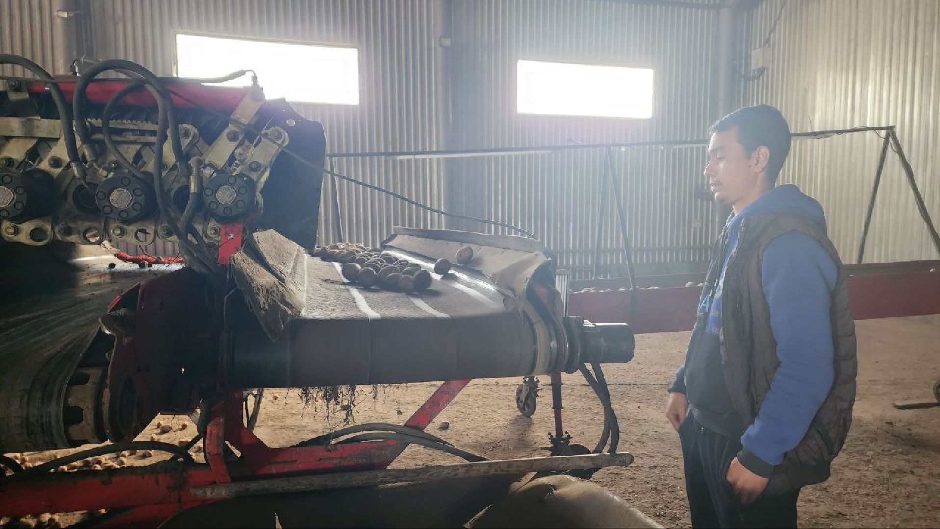 Дмитров, ЗАО Куликово, Дока генные технологии, Минсельхоз,