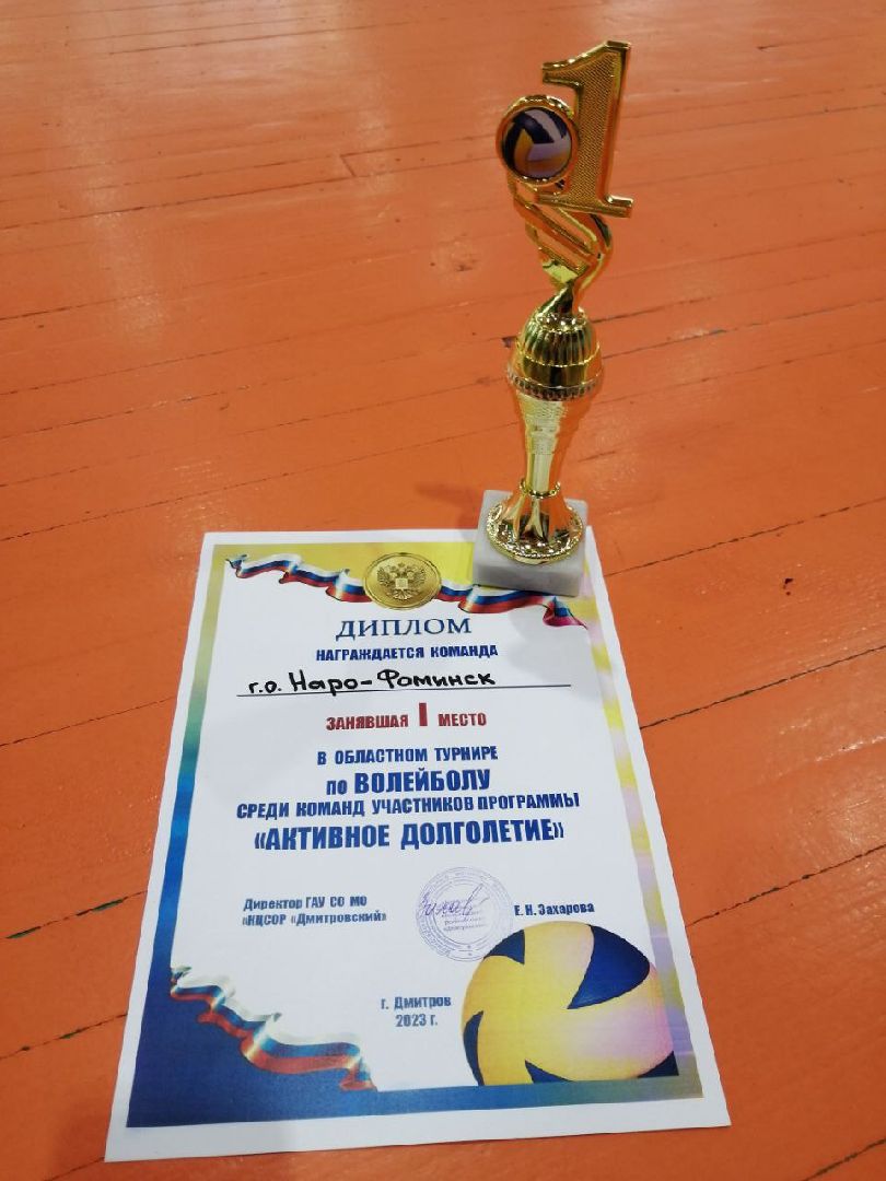 активное долголетие, волейбол, наро-фоминск,