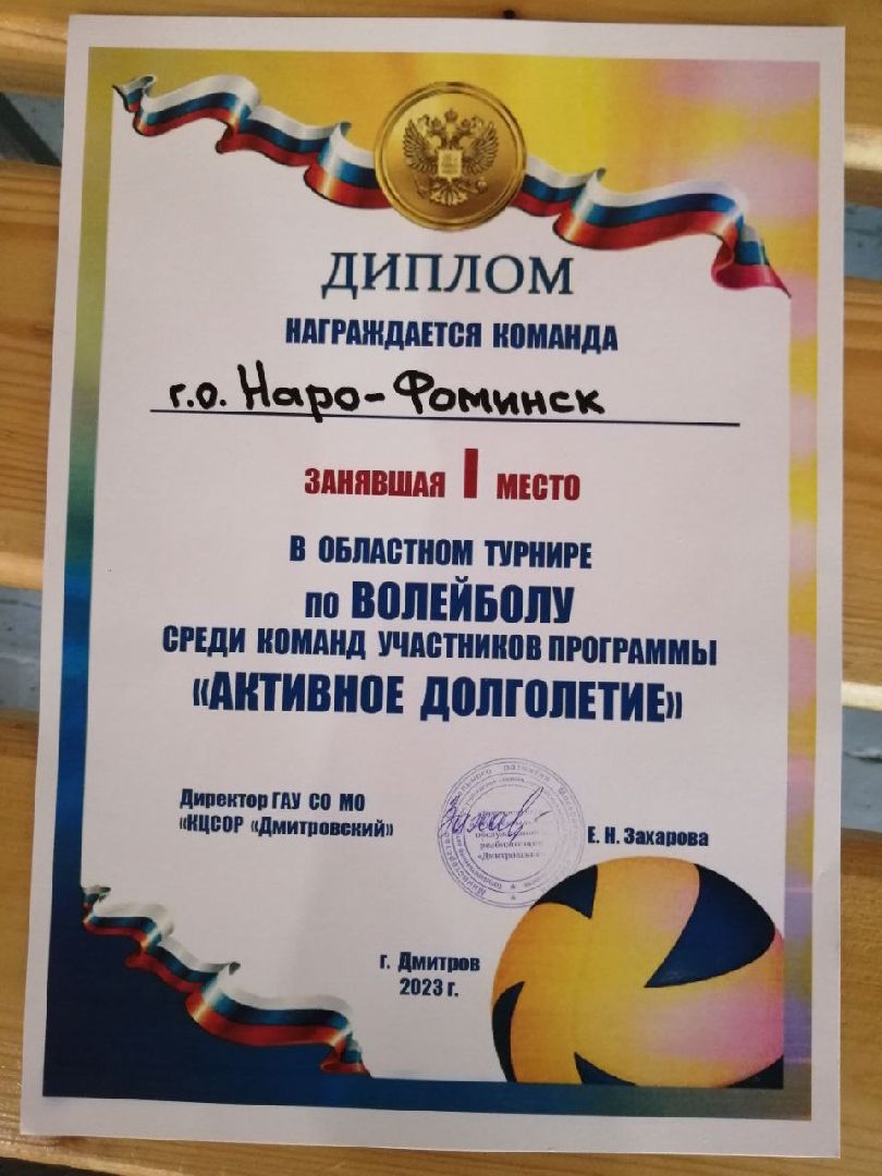 активное долголетие, волейбол, наро-фоминск,