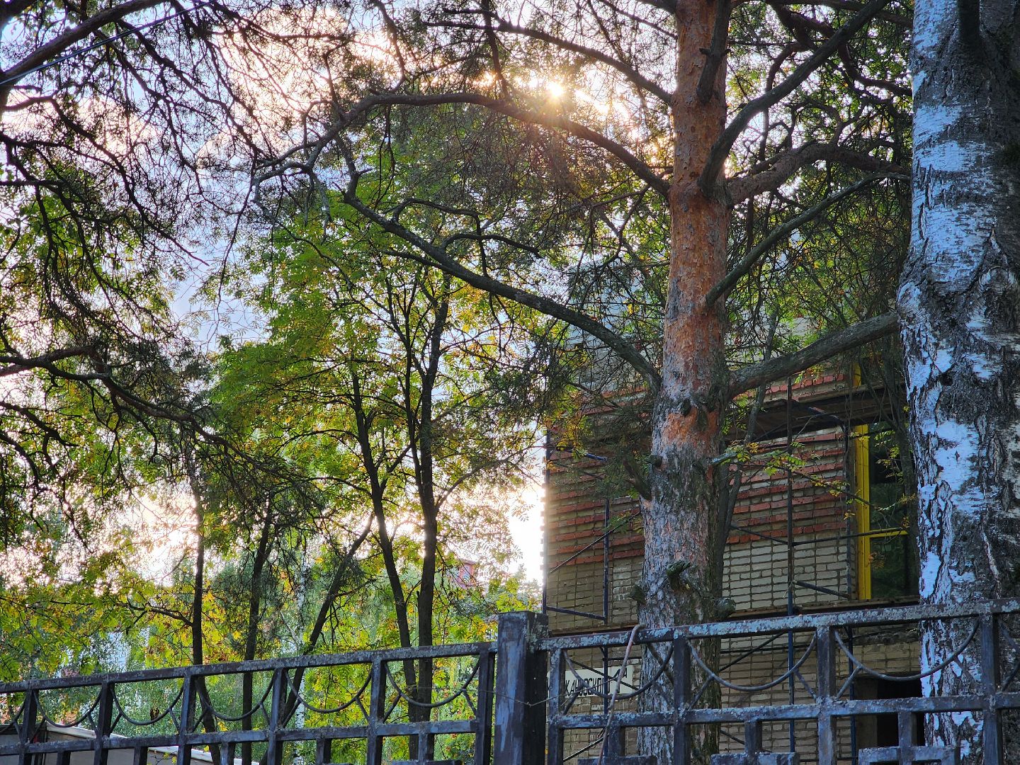 Электрогорск, городской округ павловский посад, детский сад, ремонт, строительство, дети,