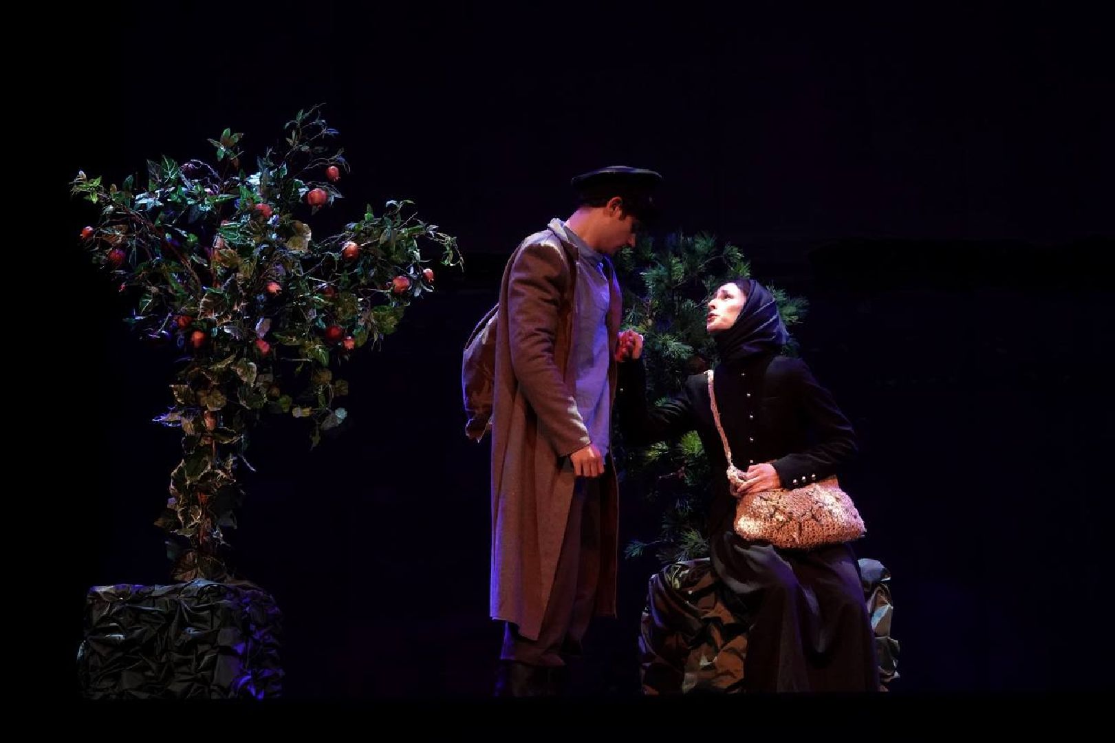 Сергиево-Посадский городской окру, Театр, Искусство, Театральный ковчег в Дубраве, Культура,