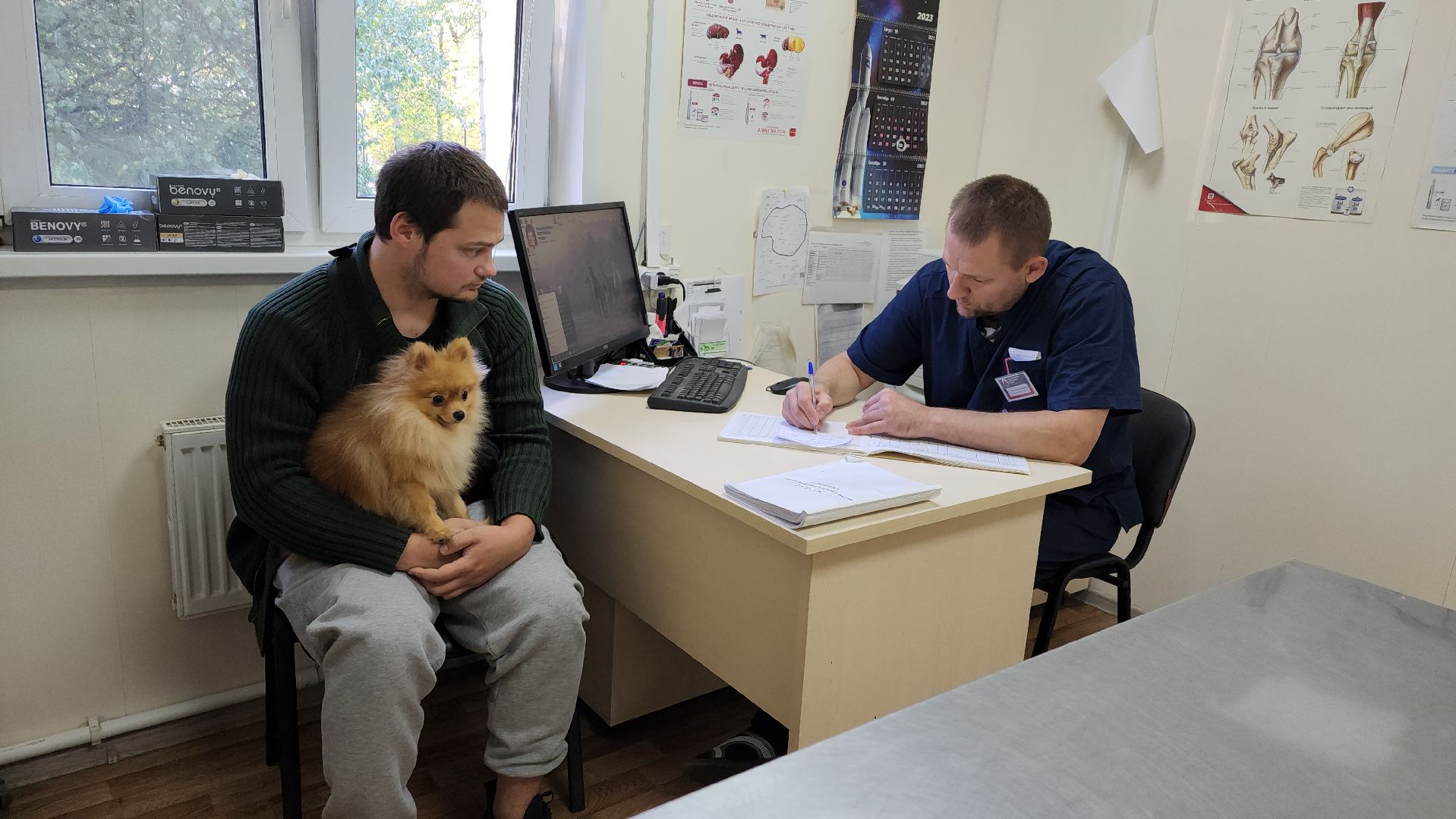 Одинцово, Ветеринар, лайм,