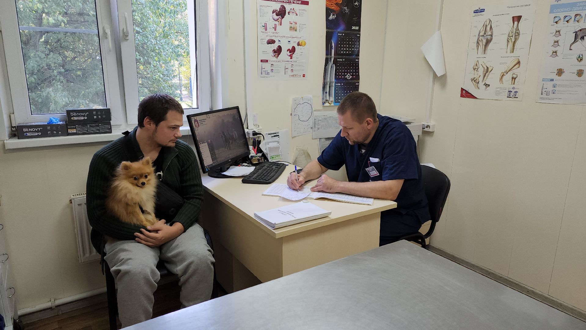 Одинцово, Ветеринар, лайм,