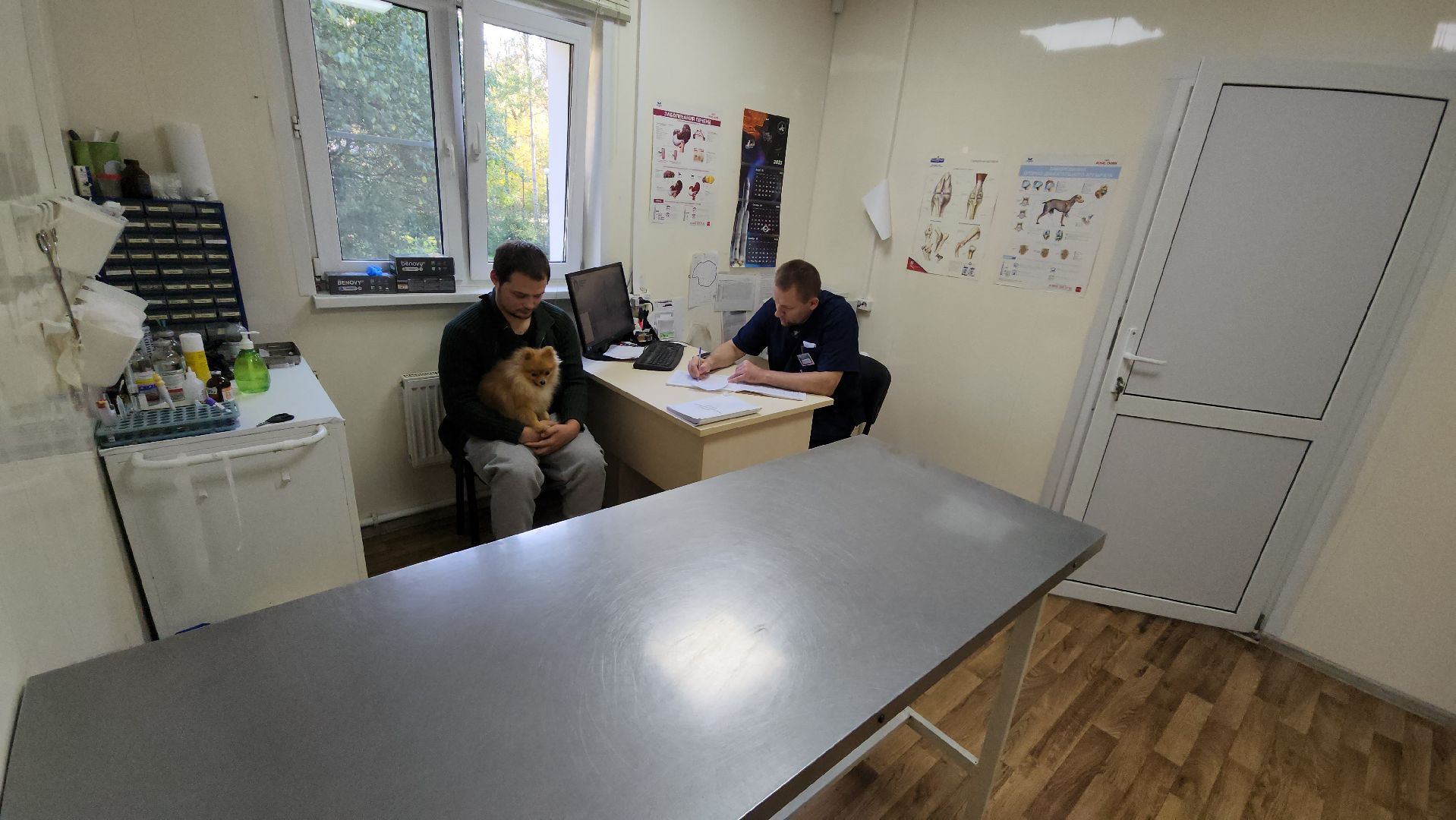 Одинцово, Ветеринар, лайм,