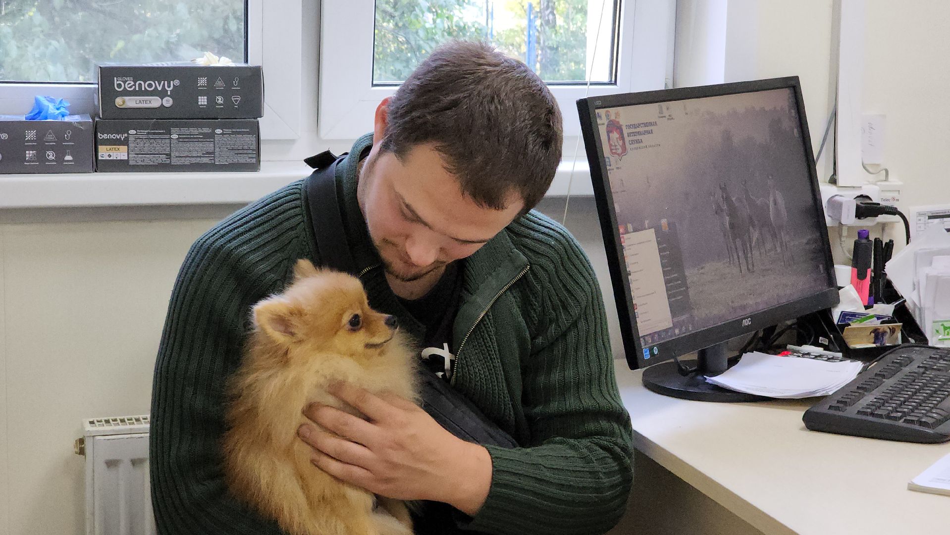 Одинцово, Ветеринар, лайм,