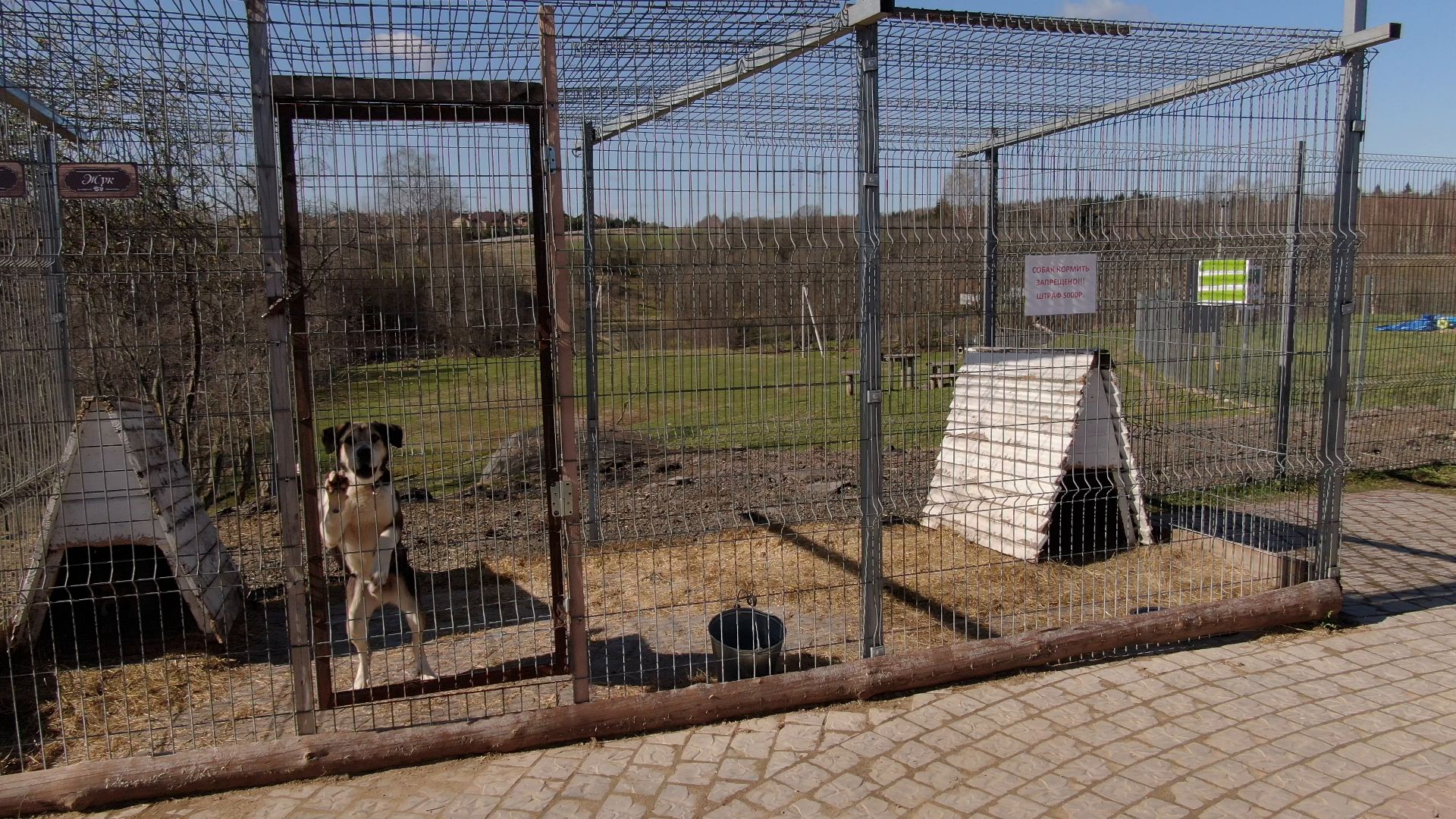 дмитров, ферма, шихово,видео с коптера,