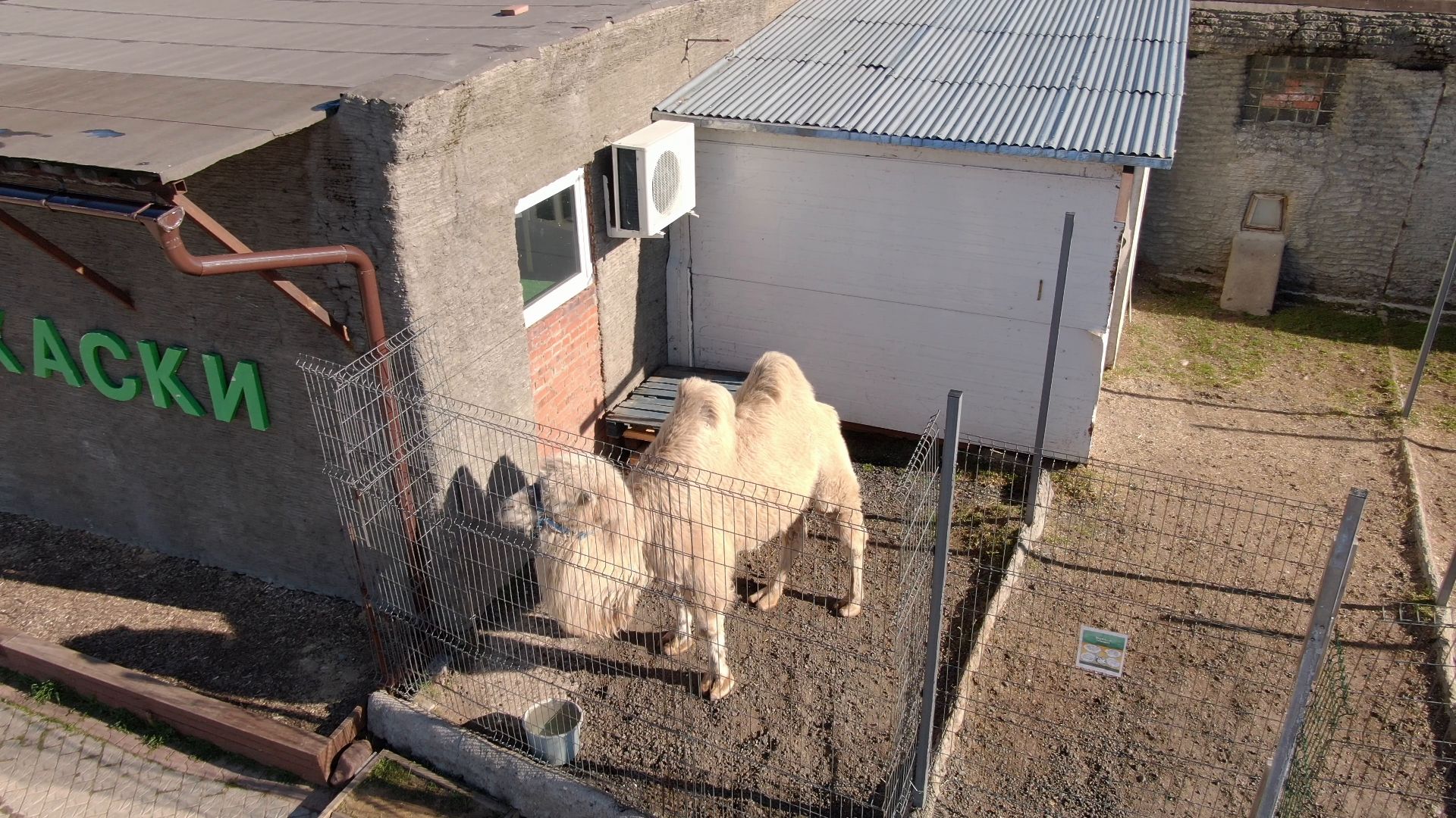 дмитров, ферма, шихово,видео с коптера,