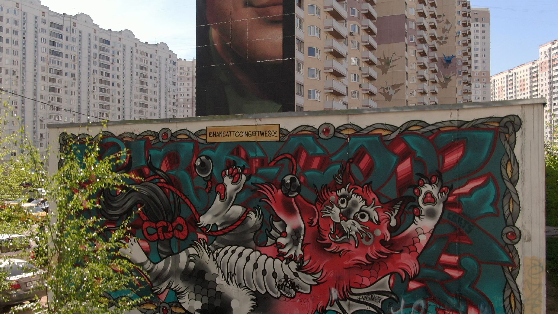 мурал, живопись, стрит арт, одинцово,видео с коптера,