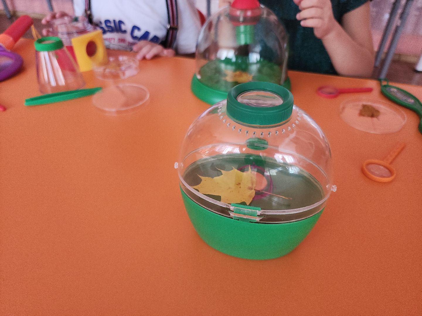 Кашира, детский сад, школа, предшкола, пилотный проект,