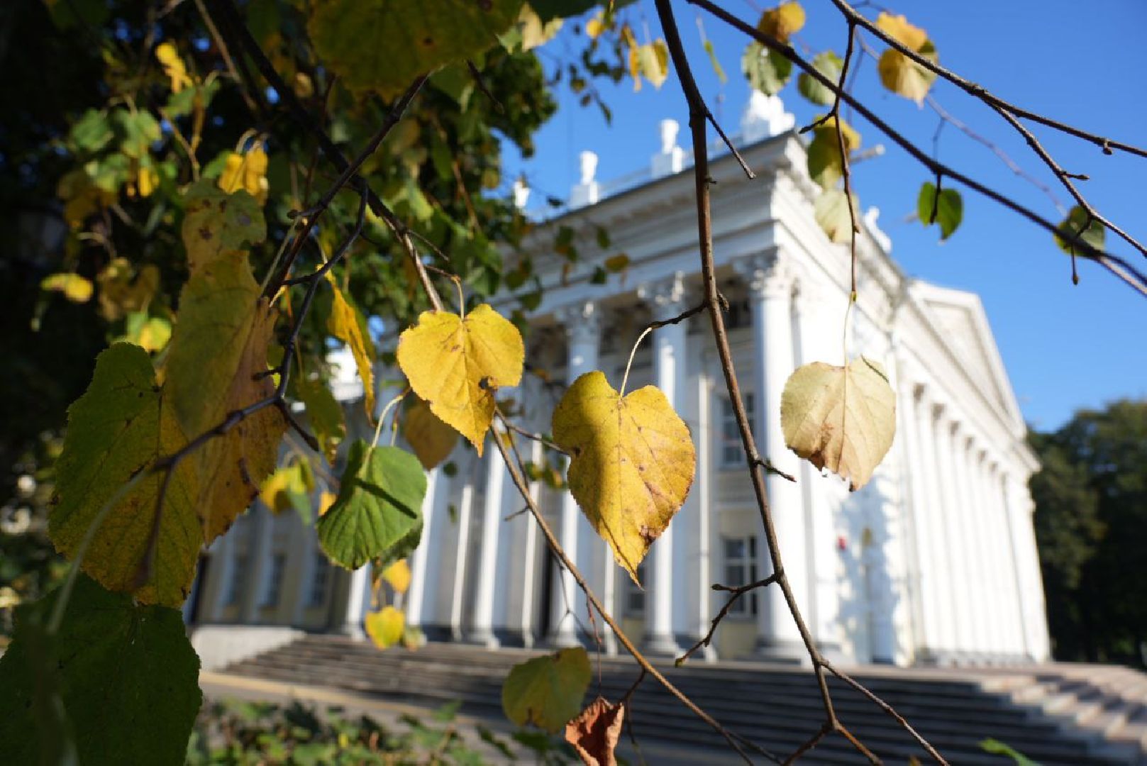 Сергиево-Посадский городской округ, Сергиев Посад, Погода, Бабье лето, Аномальная погода, Рекорды, Эксклюзив,