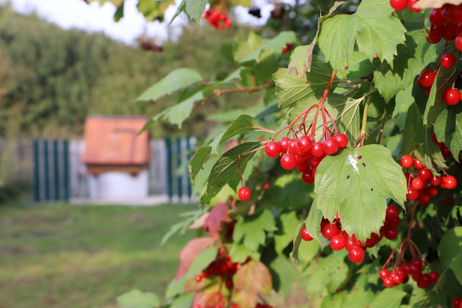 Серебряные Пруды, село Мочилы, благоустройство колодцев, Чистая вода, ВЗУ,