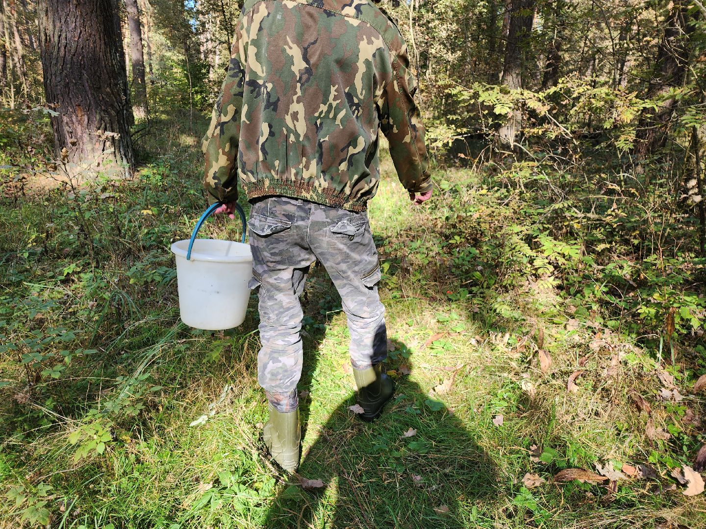 серпухов, подмосковье, грибы, лес, сбор грибов,