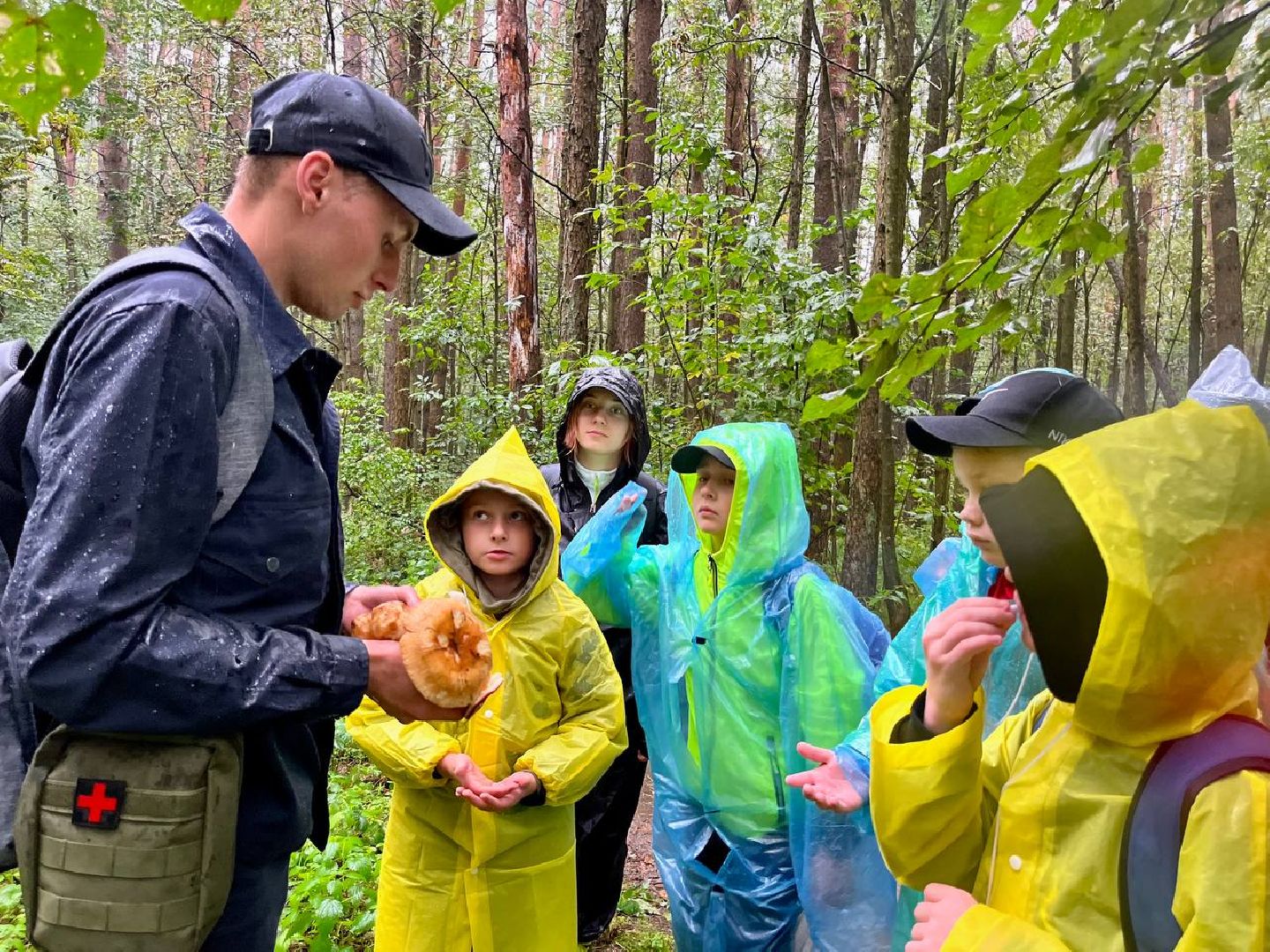 ОБЖ, ЛЕС, Грибы, белый гриб,наро-фоминск,