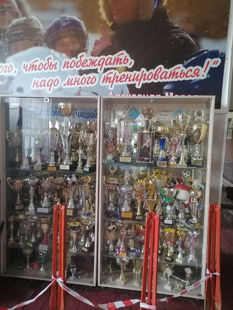 женскийхоккей,