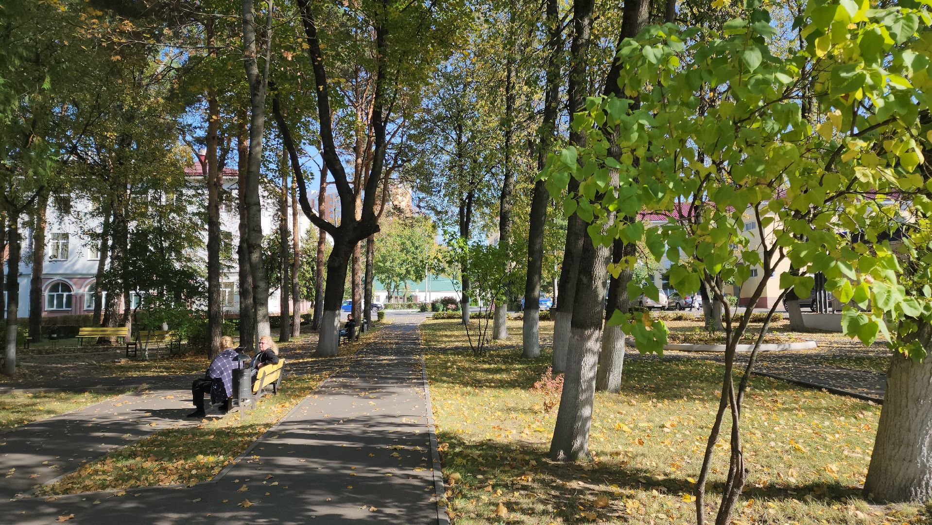 Подольск, Медицина, День сердца, Кардиолог, Здоровье,