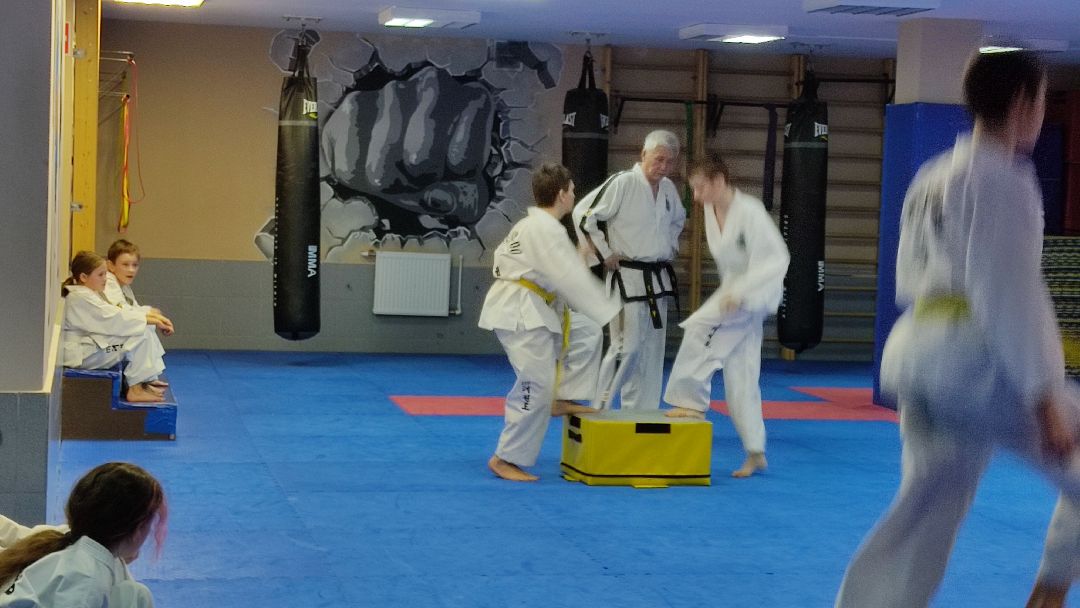 Лобня, спорт, тхэквондо