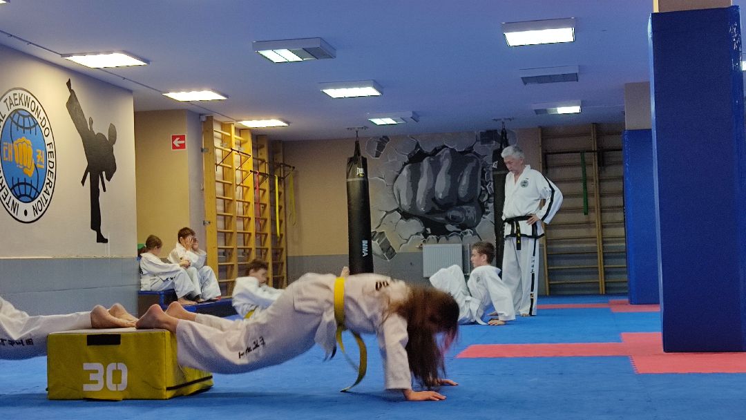 Лобня, спорт, тхэквондо