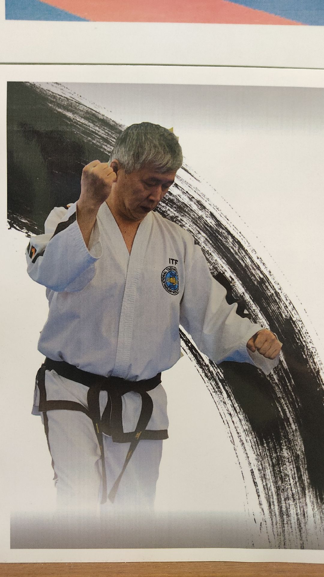 Лобня, спорт, тхэквондо