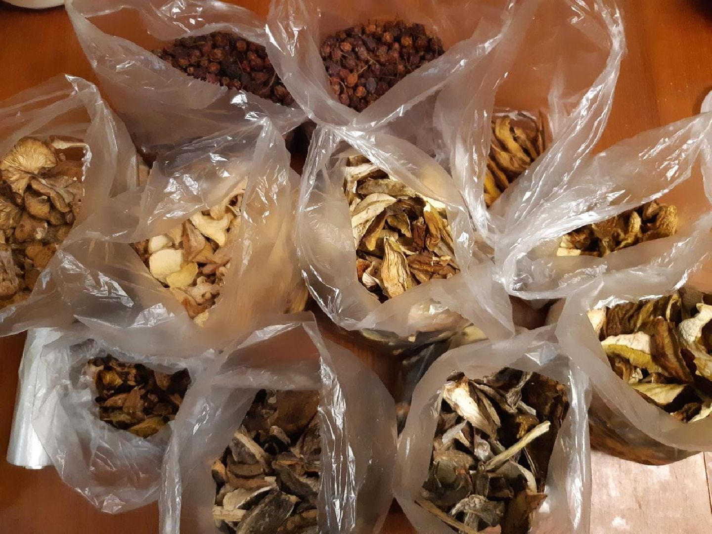 Одинцово, Белки, Грибы, Подмосковье, сбор грибов, грибной сезон, советы