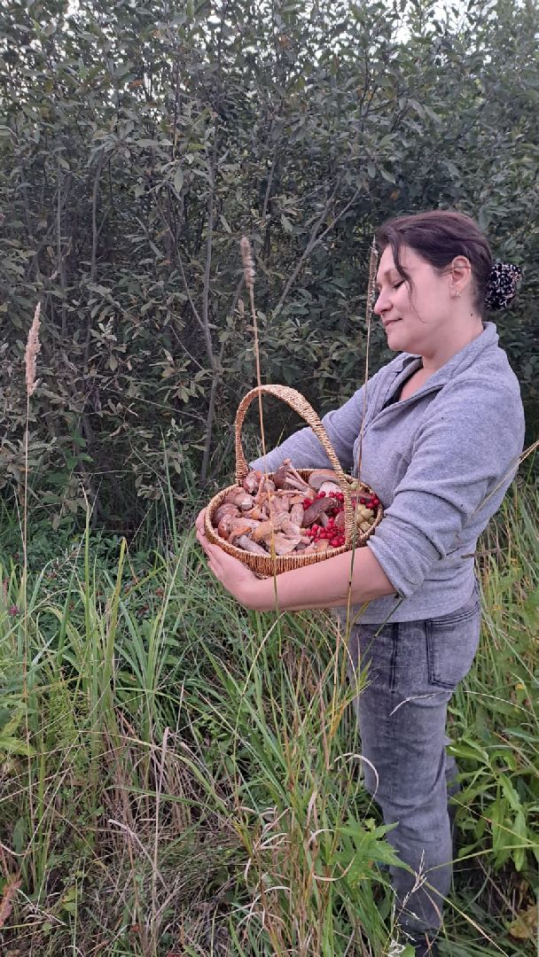 Одинцово, Белки, Грибы, Подмосковье, сбор грибов, грибной сезон, советы