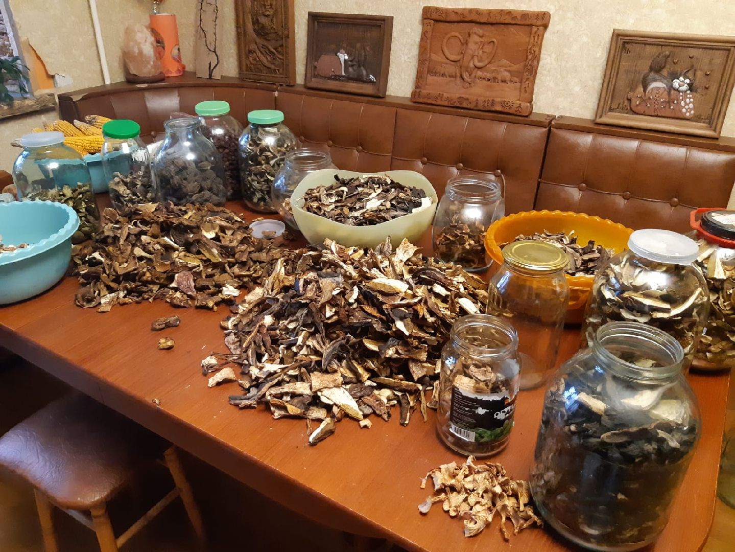 Одинцово, Белки, Грибы, Подмосковье, сбор грибов, грибной сезон, советы