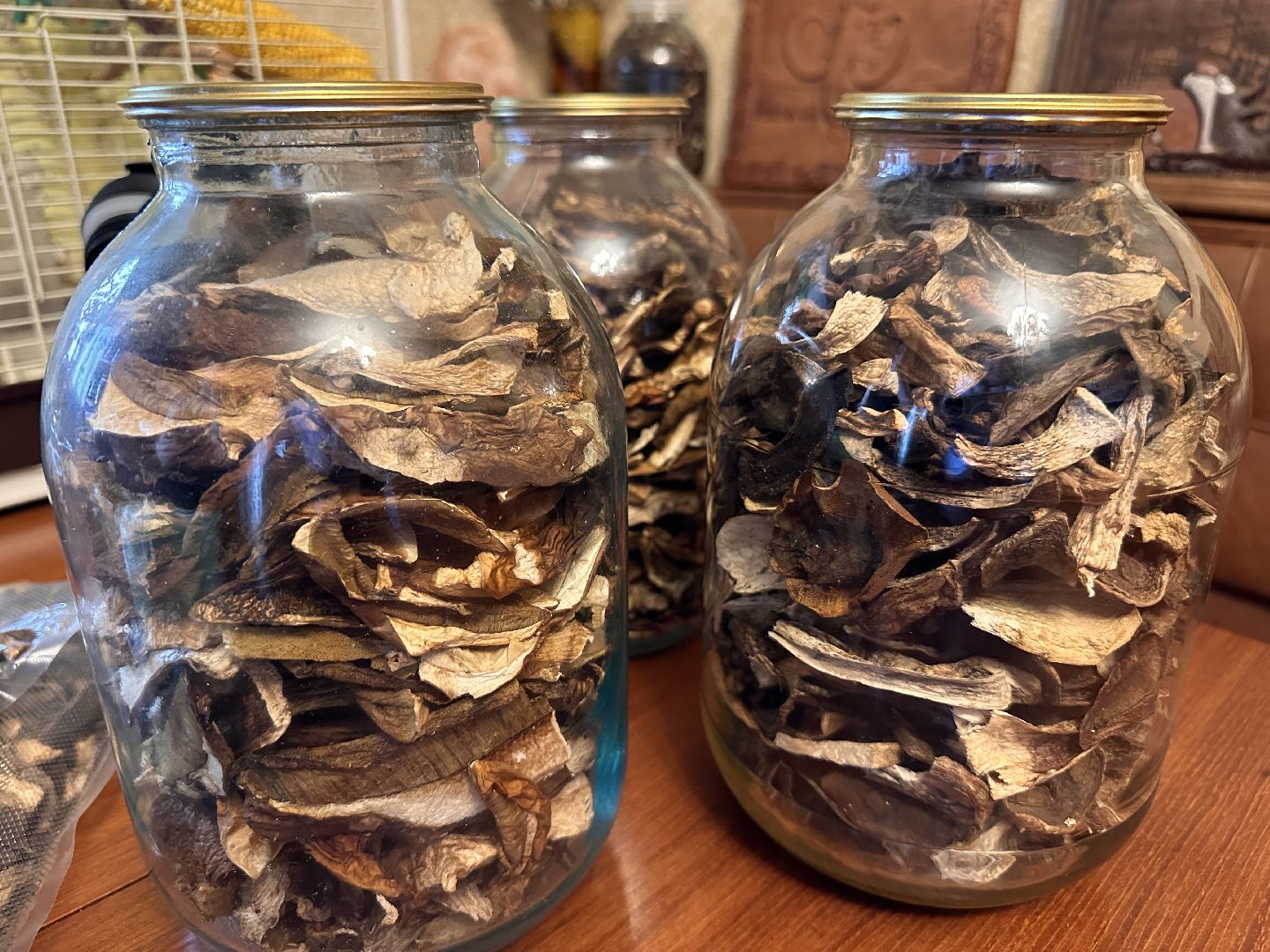 Одинцово, Белки, Грибы, Подмосковье, сбор грибов, грибной сезон, советы