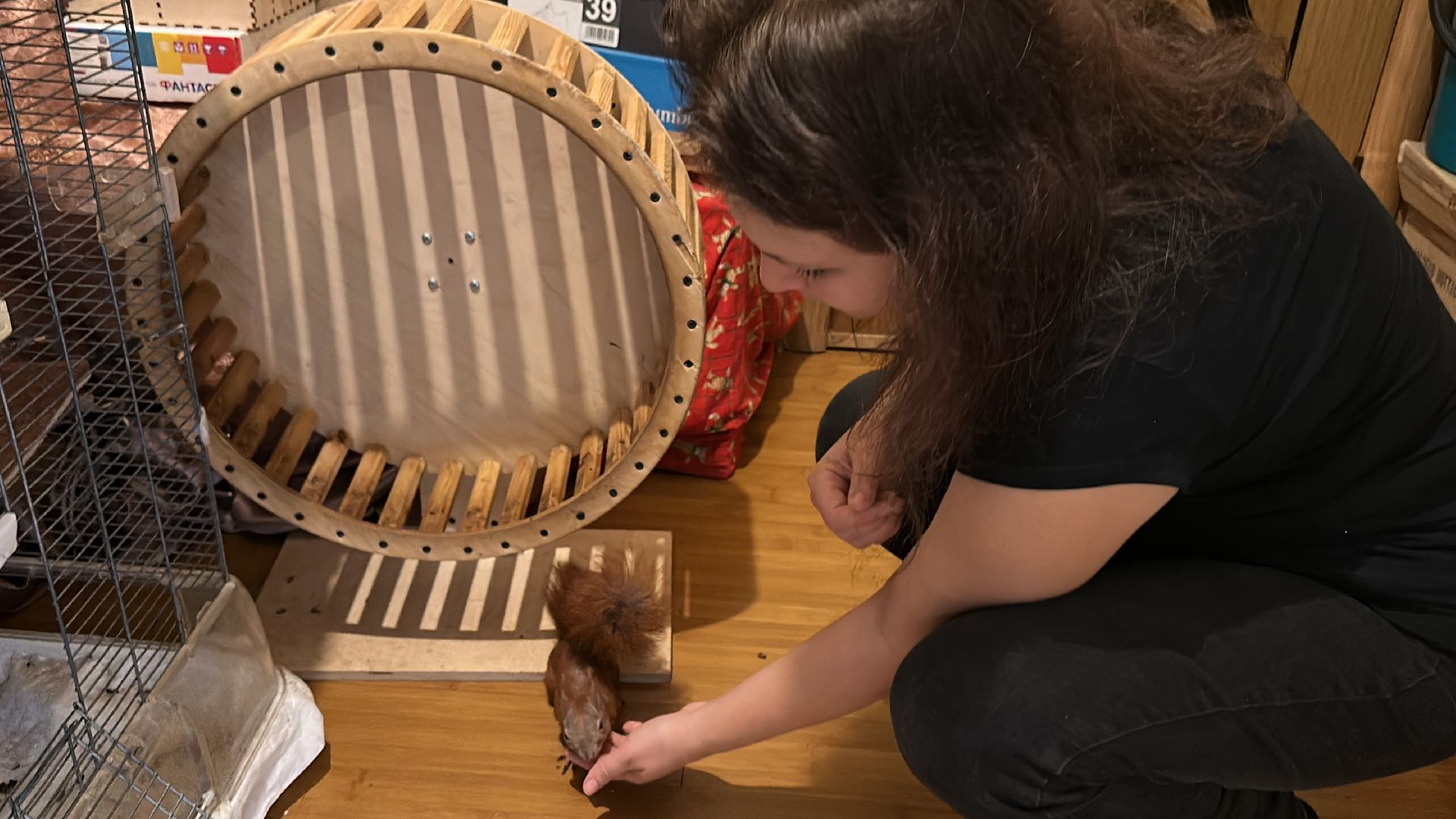 Одинцово, Белки, Грибы, Подмосковье, сбор грибов, грибной сезон, советы