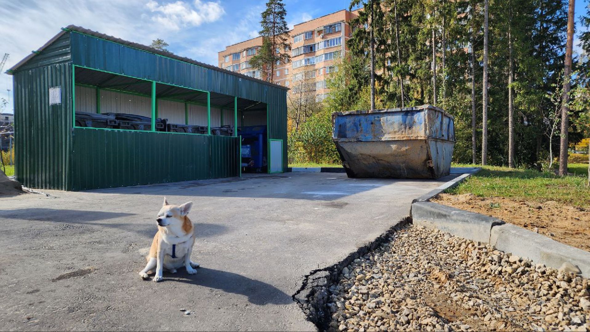 мусор, экология, контейнерная площадка, раздельный сбор мусора, Щелково,