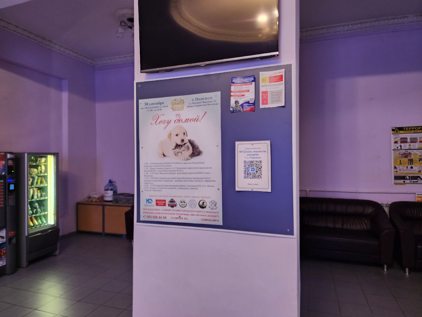 Подольск, Фестиваль, Хочу домой, Татьяна Абрамова, Мастер-классы, животные,