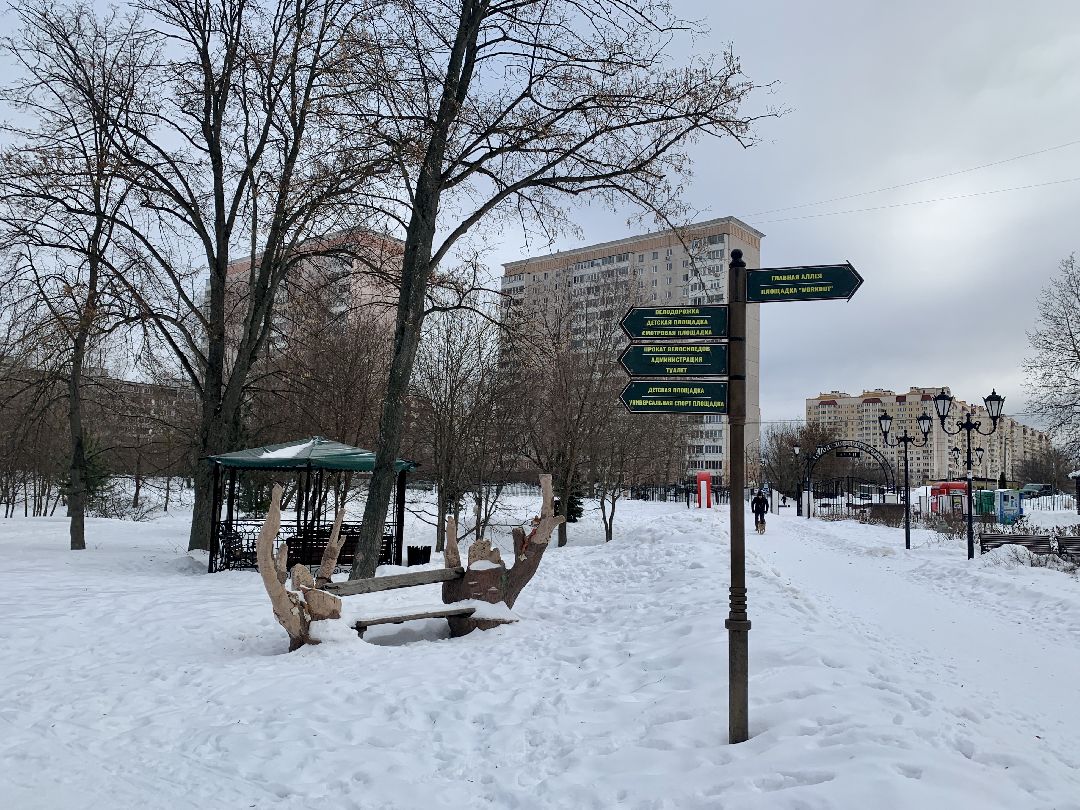 #долгопрудный #подмосковье #парк #благоустройство #реконструкция