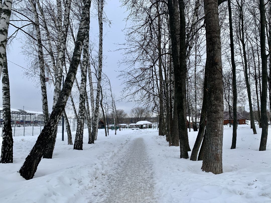 #долгопрудный #подмосковье #парк #благоустройство #реконструкция