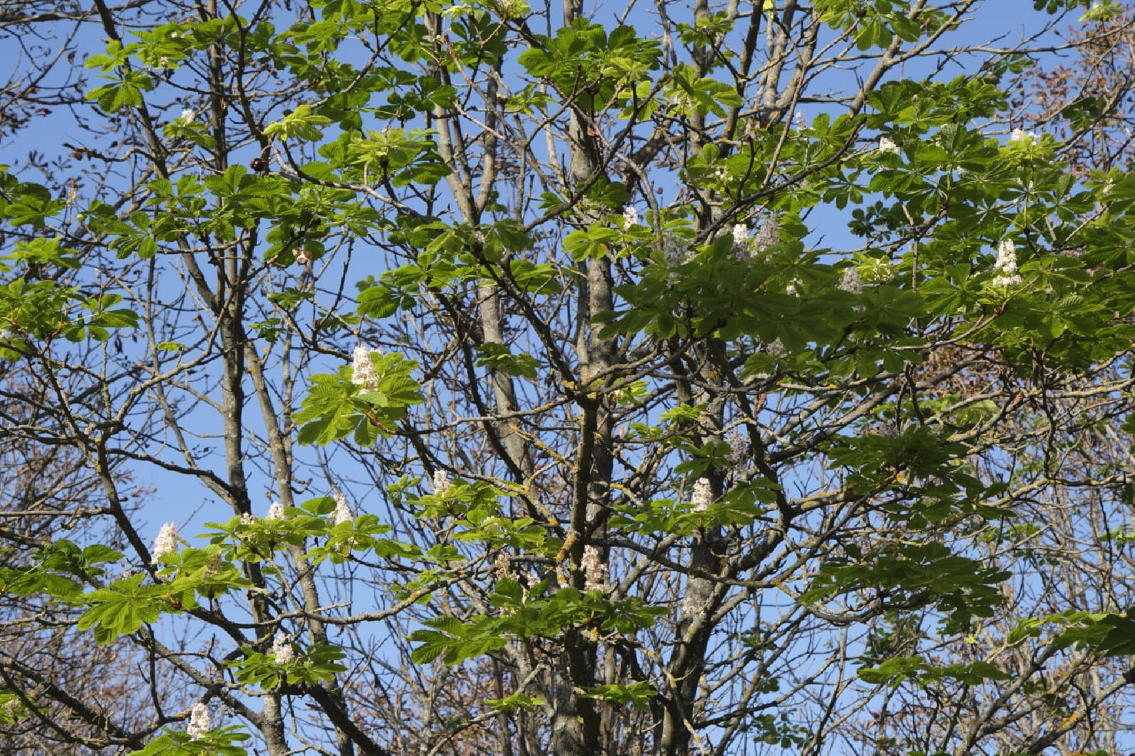 Пущино, экология,