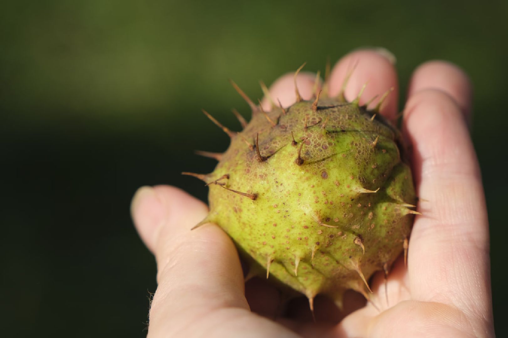 Пущино, экология,