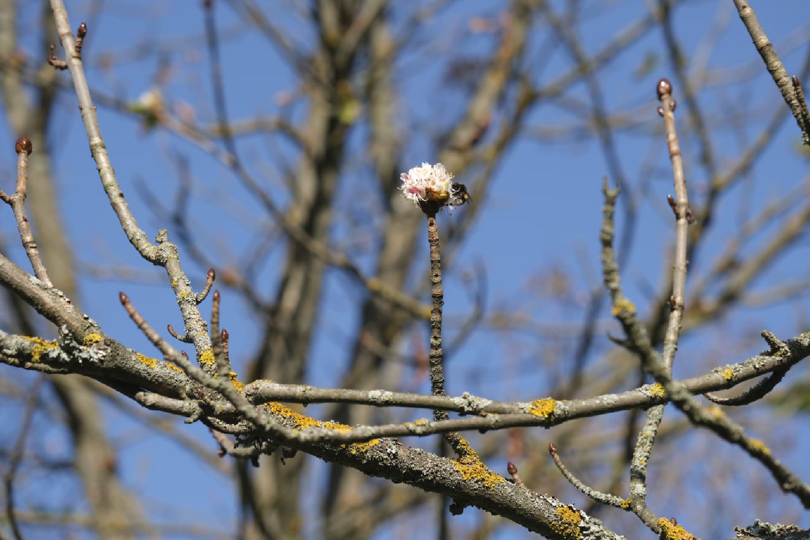 Пущино, экология,