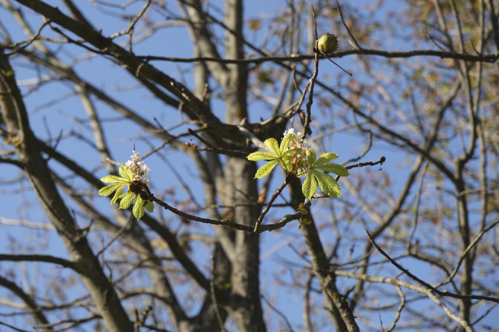 Пущино, экология,